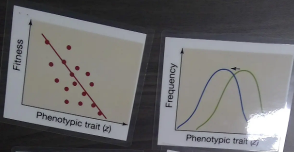 Less variability, could move either positively or negatively