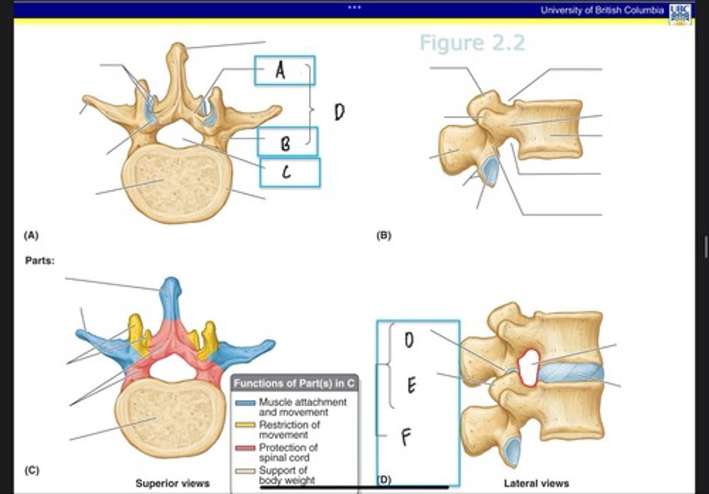 <p>What is C?</p>