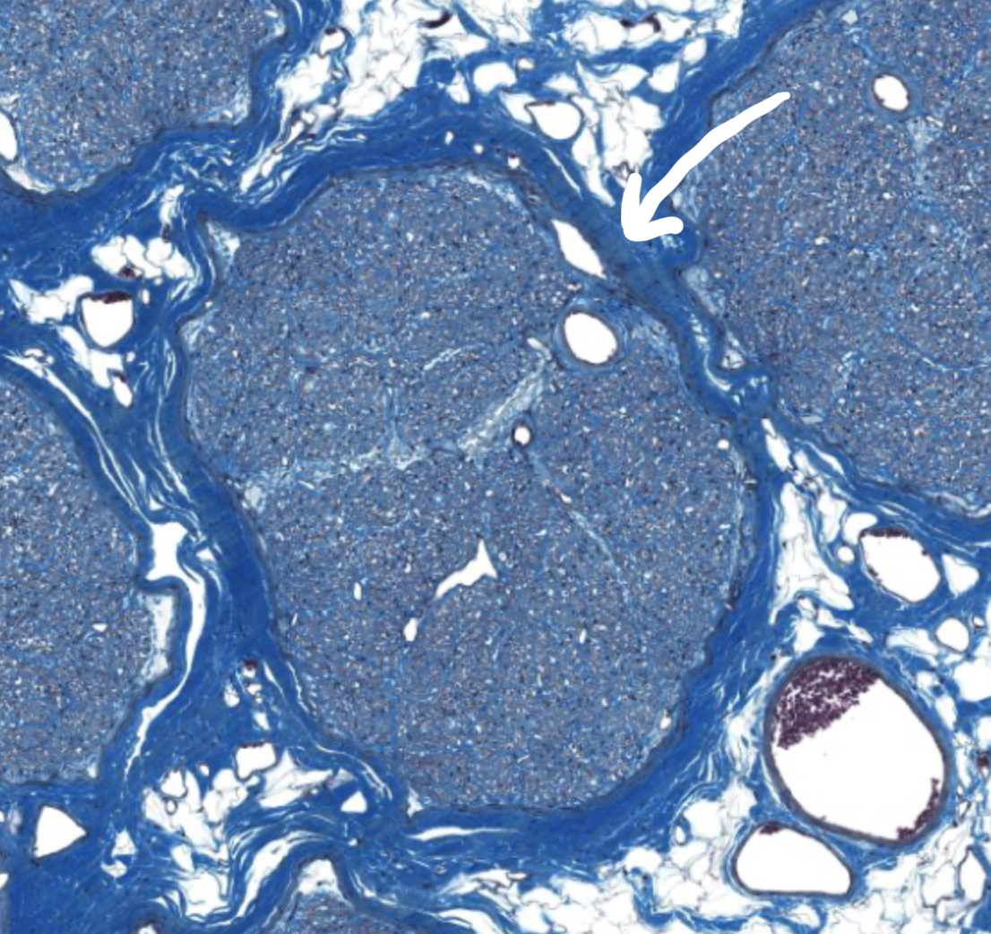 <p>What is this?</p>