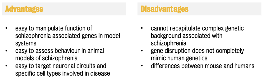 Pros & cons of animal & prim. cell models
