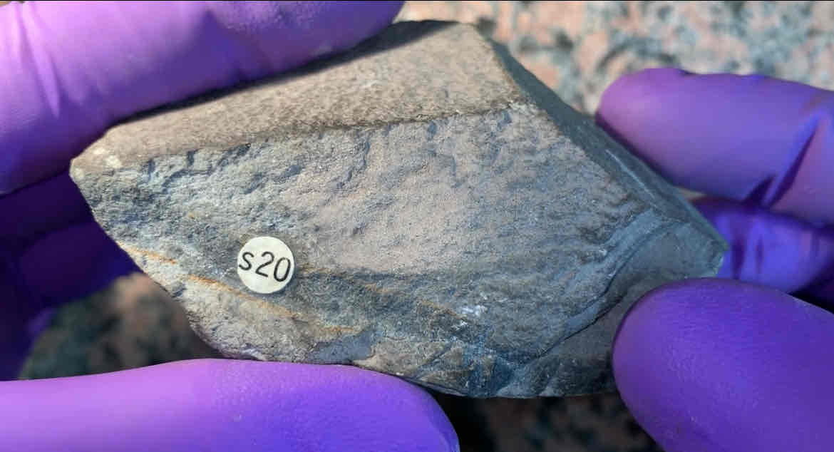 <p>silt stone</p><p>low grade : slate</p><p>intermediate: phyllite</p><p>high grade: schist</p><p>very high grade: gneiss</p><p>extreme migmatite</p>
