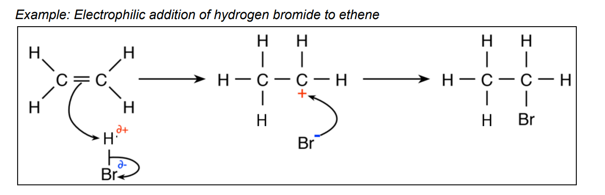 <p>reaction mechanism that shows how electrophiles attack the double bond in alkenes<br>when double bond is broken a carbocation forms</p>