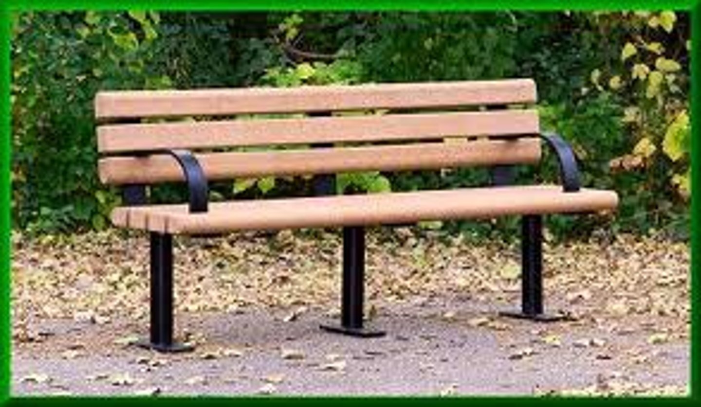 <p>the park bench</p>