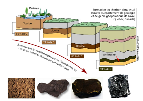 <p><span style="font-family: "Times New Roman", serif;"><span>•</span></span><span style="font-family: "Times New Roman"; line-height: normal; font-size: 7pt;"><span>&nbsp;&nbsp;&nbsp;&nbsp;&nbsp;&nbsp; </span></span>Importante ressource énergétique mondiale émettrice de CO 2</p><p class="MsoListParagraphCxSpMiddle"><span style="font-family: "Times New Roman", serif;"><span>•</span></span><span style="font-family: "Times New Roman"; line-height: normal; font-size: 7pt;"><span>&nbsp;&nbsp;&nbsp;&nbsp;&nbsp;&nbsp; </span></span>Reste de la matière organique issue de la végétation</p><p class="MsoListParagraphCxSpMiddle"><span style="font-family: "Times New Roman", serif;"><span>•</span></span><span style="font-family: "Times New Roman"; line-height: normal; font-size: 7pt;"><span>&nbsp;&nbsp;&nbsp;&nbsp;&nbsp;&nbsp; </span></span>Formation: anaérobie + enfouissement, T augmente, P augmente, H2 O, H, N, S sortent <span><span>à</span></span> >70% C = charbon</p><p class="MsoListParagraphCxSpMiddle"></p><p>             • Tourbe (précurseur)</p><p class="MsoListParagraphCxSpMiddle">             • Lignite = charbon brun</p><p class="MsoListParagraphCxSpMiddle">             • Charbon subbitumineux</p><p class="MsoListParagraphCxSpMiddle">             • Charbon bitumineux</p><p class="MsoListParagraphCxSpMiddle">             • Anthracite</p><p class="MsoListParagraphCxSpMiddle">             • Graphite</p><p class="MsoListParagraphCxSpMiddle">             • Diamant!</p><p class="MsoListParagraphCxSpLast"><span><span>&nbsp;</span></span></p>
