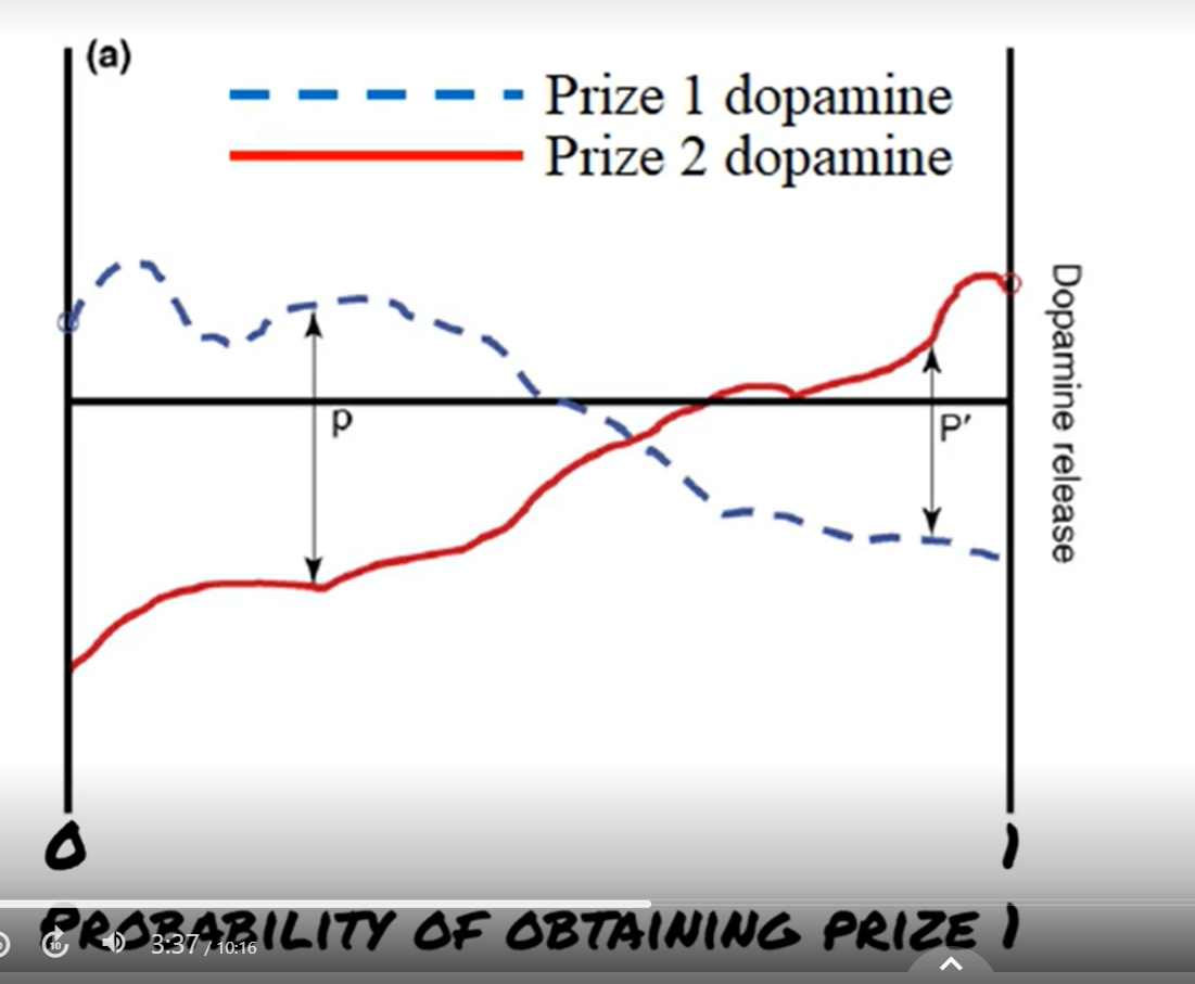 <p>axiom1 : coherent prize dominance; for a fized lottery better prizes should always lead to higher dopamine release no matter the probability</p><p></p><p>a lottery with 10 and 20 prize, x-axis = probability/chance of winning&nbsp;prize 1</p>