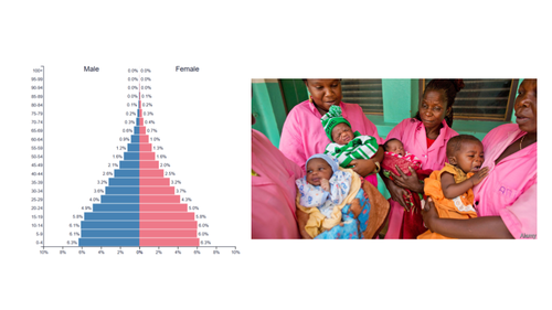 <p>high/very high birth rate</p>