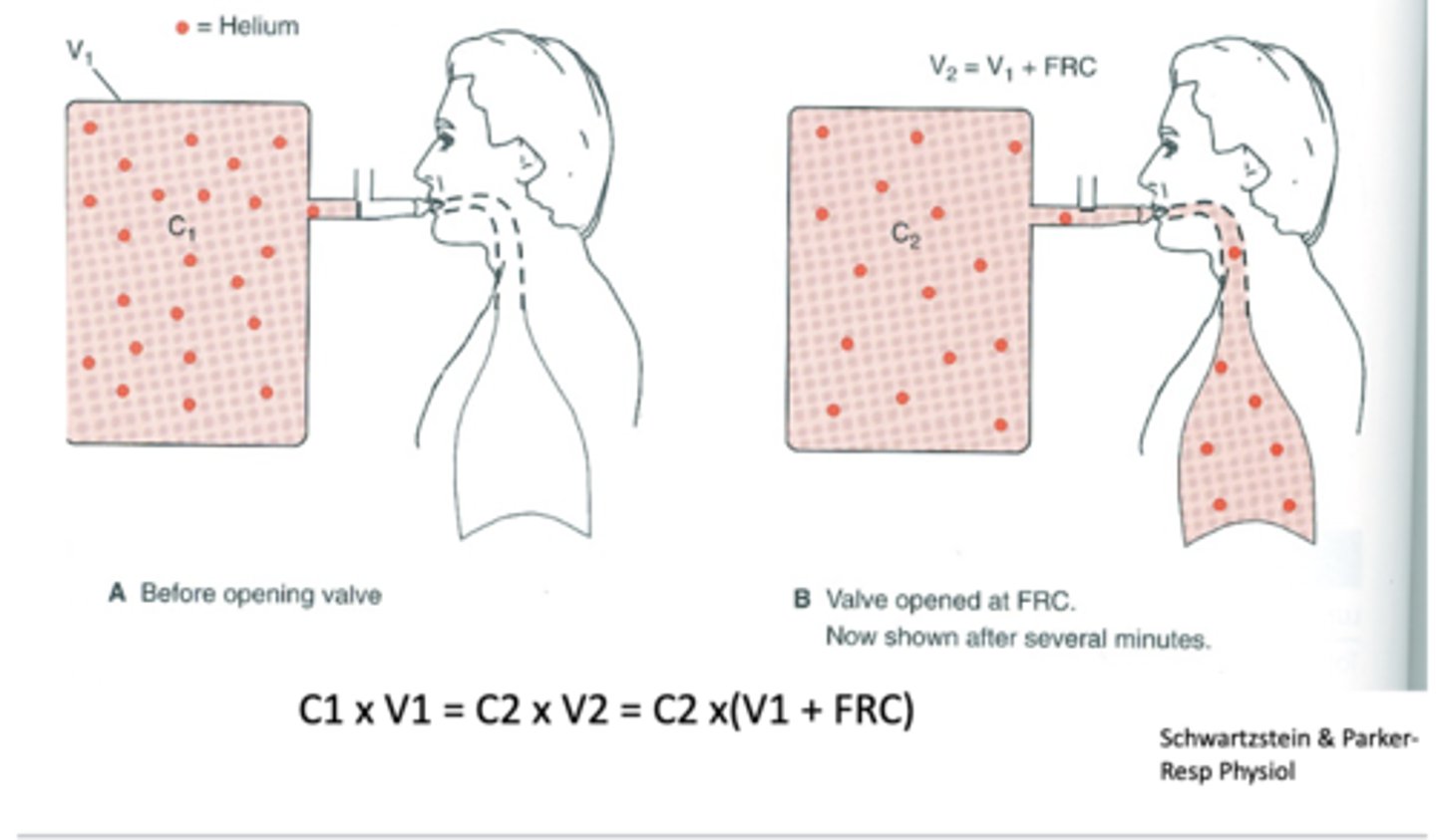 <p>method to calculate residual volume</p><p>C1V1 = C2V2 = C2 x (V1 + FRC)</p>