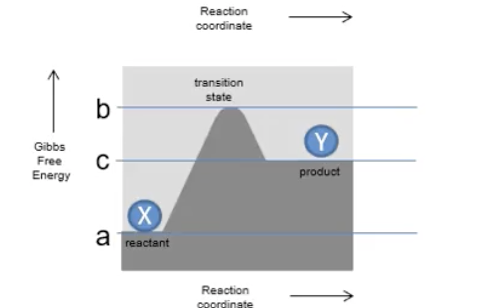 <p><span>ΔG = +ve</span></p><p><span>free energy absorbed</span></p><p><span>unfavourable, not spontaneous</span></p>