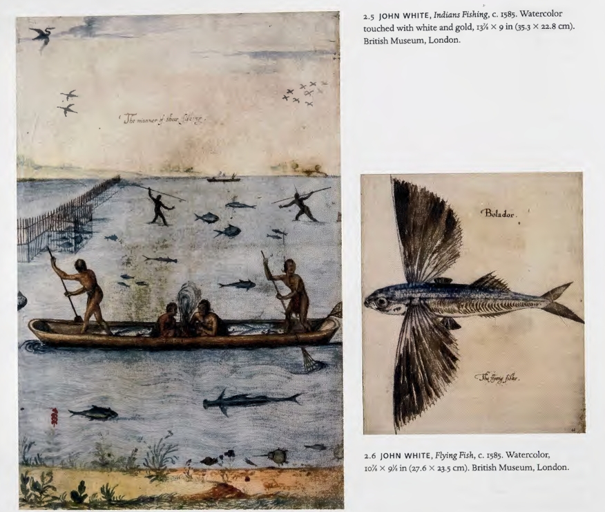 <p><strong>Name</strong>: John White’s watercolors of Algonkian Indians</p><p><strong>Author</strong>: John White</p><p><strong>Date/Decade</strong>: 1585</p>