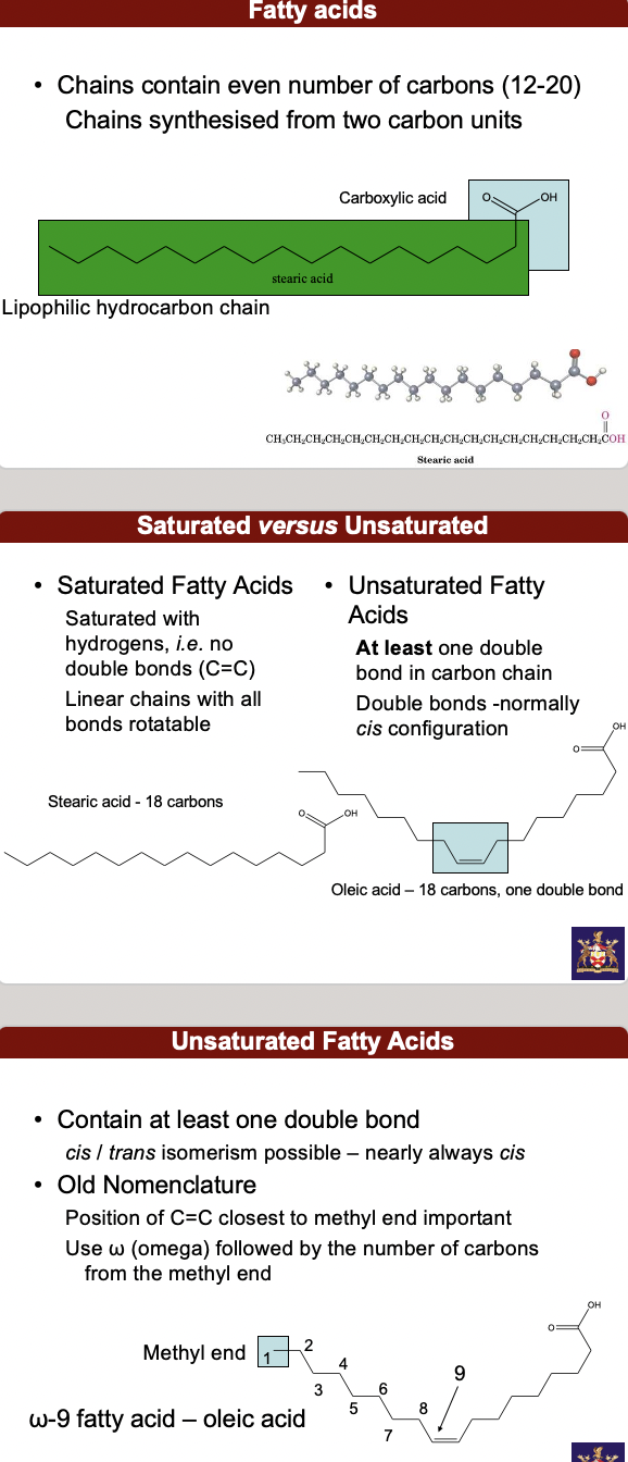 physiologically important carboxylic acids

* **fatty acids** (unsat vs. sat) and prostaglandins 
* long chain carboxylic acids
* lipids