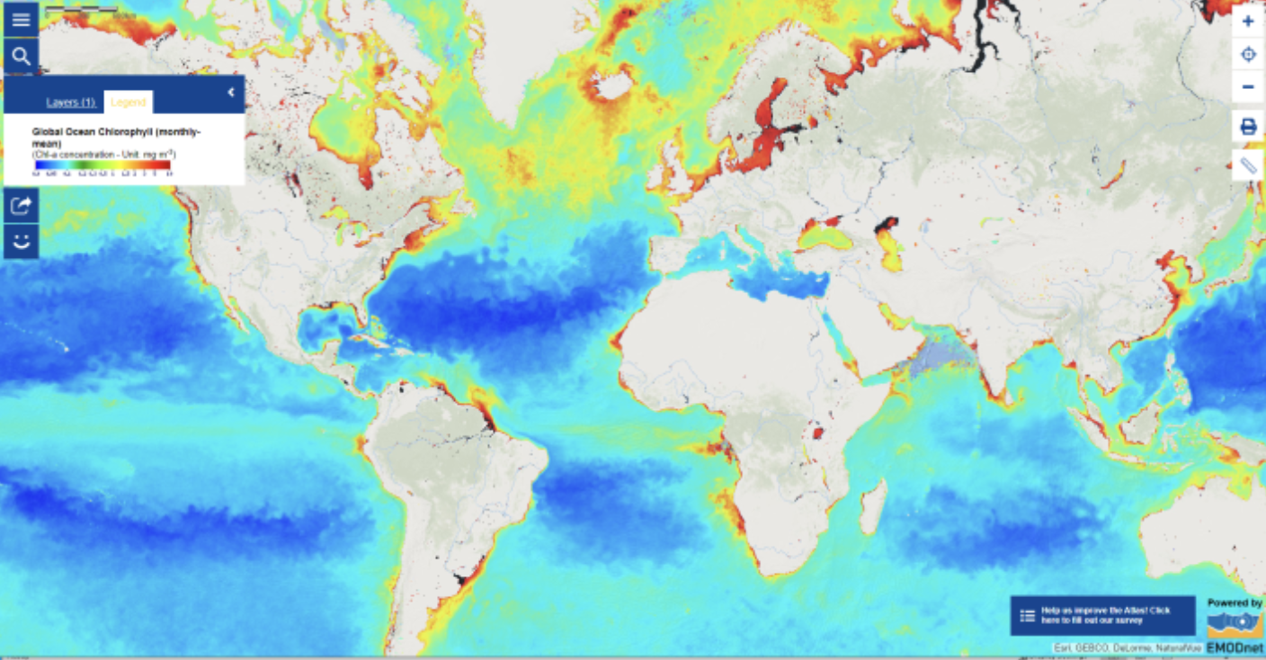 <p>Chlorophyll concentrations in oceans - picture</p>