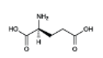 <p>Glutamate</p>