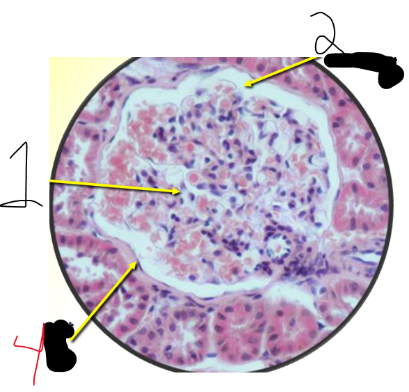 <p>il n’y a pas de 3 je me suis tromper</p>