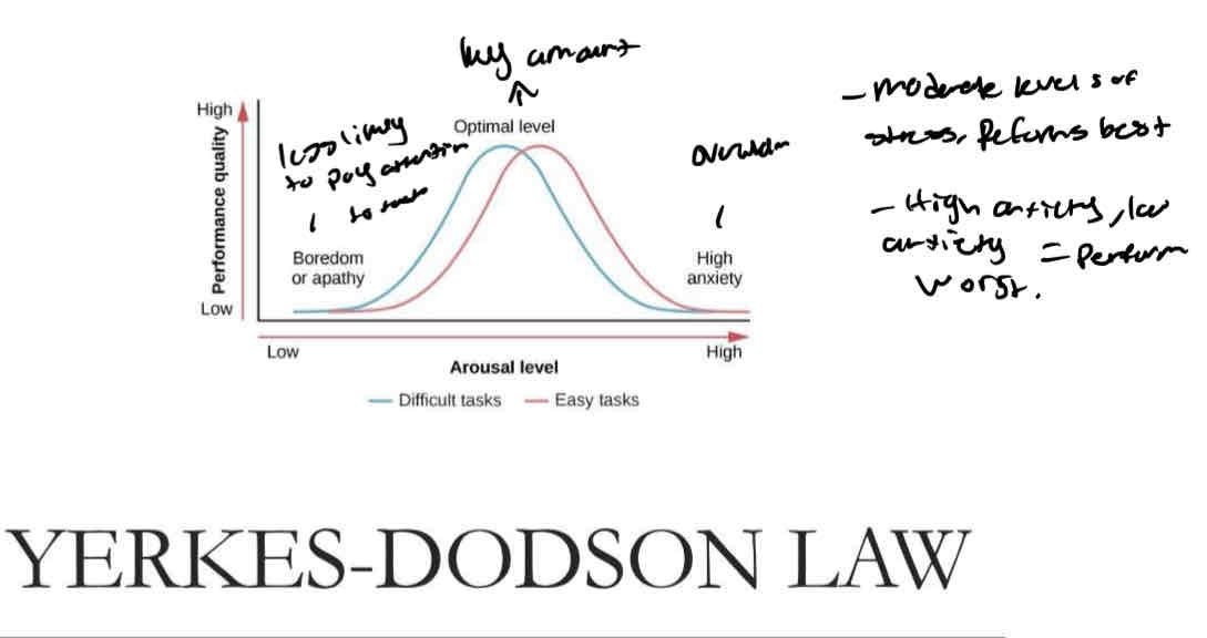 <p>YERKES-DODSON LAW</p>