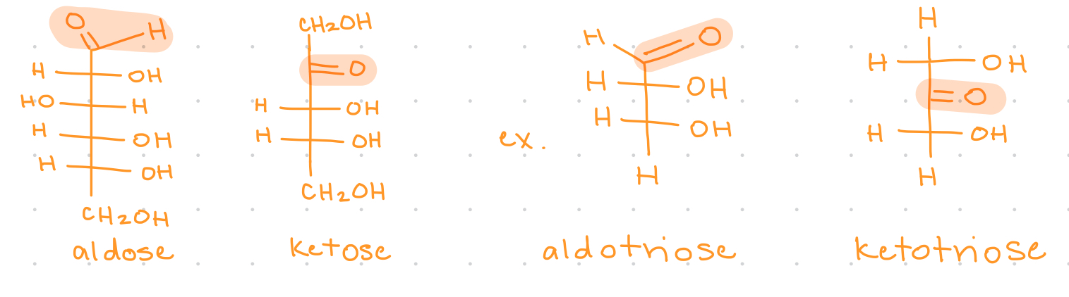 <p>aldose has an aldehyde group, ketose has a ketone group </p>