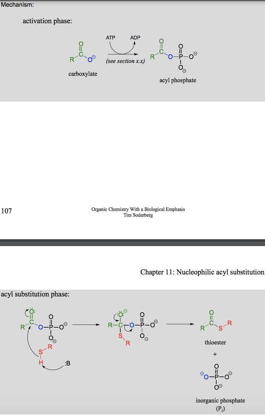 <p>In the fatty acid metabolism. With Coenzyme A as the thiol contributing group.</p>