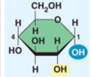 <p>What is the name of this monosaccharide shown?</p>