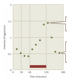 <p>What’s the main message?</p>