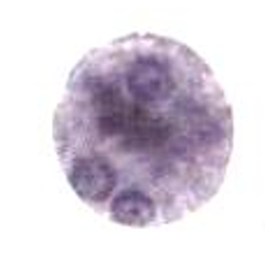 <p>whats this</p>