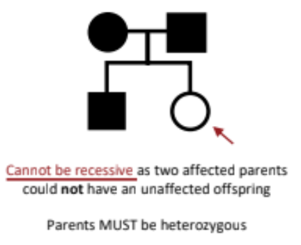 <p>A single copy of the mutated gene is enough to express the condition.</p>