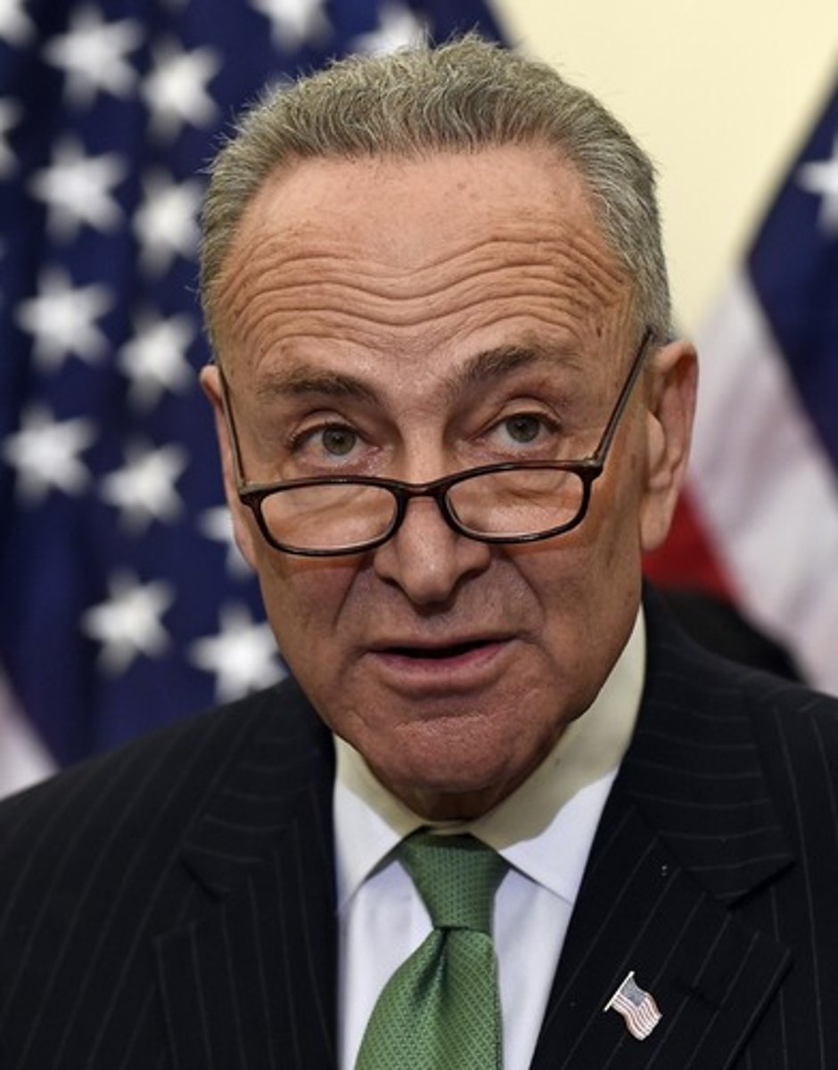 <p>Chuck Schumer</p>