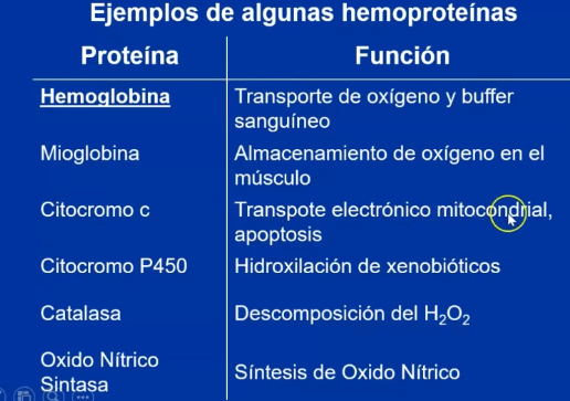 <p>Provenientes de el <strong>catabolismo de las Porfirinas</strong> (esta es parte del grupo prostético hemo= porfirina + hierro)</p><ul><li><p><em><u>Hemoglobina</u></em> la principal fuente de porfirinas para la formación de <strong>pigmentos biliares</strong></p></li></ul><p></p>