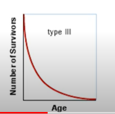 -Low survivorship at young age
-once at maturity, survivorship = high
-Frogs = lay lots of eggs, some may not hatch.
-oak tree =  lots of offspring spread, most may not seed

-young are not equipped to survive at young age