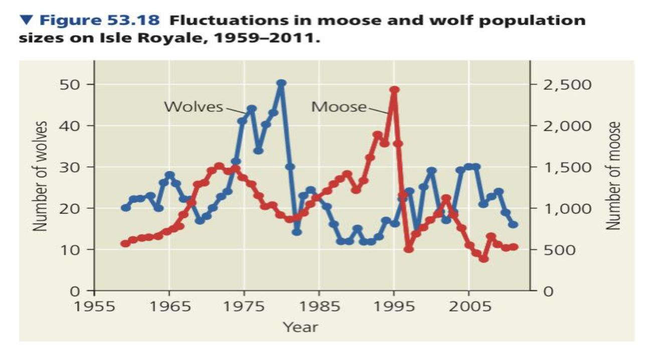 Stability & Fluctuation
● Example. _____ population on Isle Royale in Lake Superior has fluctuated substantially since the 1900s
○ Harsh _____ (cold winters with heavy snowfall) weakens moose and reduces food availability ➔ decreasing population size
○ High moose numbers bring about _____ and an increase in the density of ticks and other ______ ➔ decreasing population size
○ Low moose numbers, mild weather,
and good food availability ➔ increasing population size

○ The moose population experienced 2 major collapses during the last 50 years
■ First major collapse - coincided with a peak in the number of _____ (predators) from 1975-1980
■ Second major collapse - Harsh _____ weather in 1995 increased the energy needs of moose and made it harder for them to find food under deep snow
