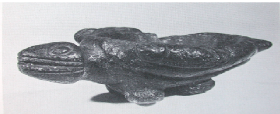 <p>What is on the sides of the fish?</p>