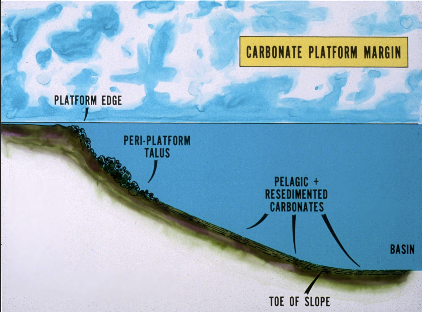 <ol><li><p>Platform edge</p></li><li><p>Peri-platform talus</p></li><li><p>Pelagic and re-sedimented carbonates (extending to toe of slope)</p></li><li><p>Basin</p></li></ol>