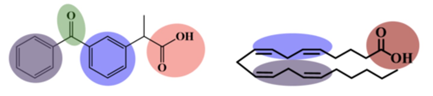 <p>1. forces non-coplanarity</p><p>2. augments lipophilicity</p><p>3. inhibits inactivating CYP-mediated metabolism</p>