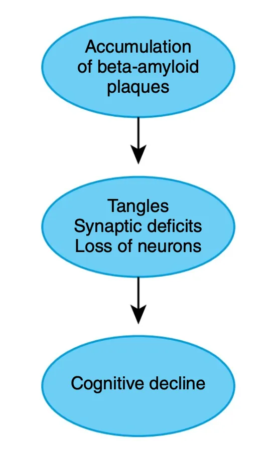 <p>Biological causes of Alzheimer’s</p>