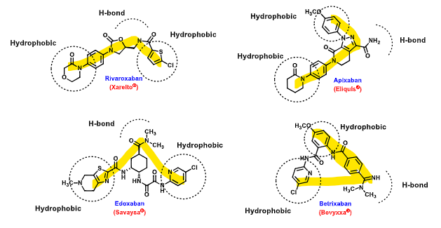 <p><span> L shape with two hydrophobic binding pockets and one H-bond interaction</span></p>