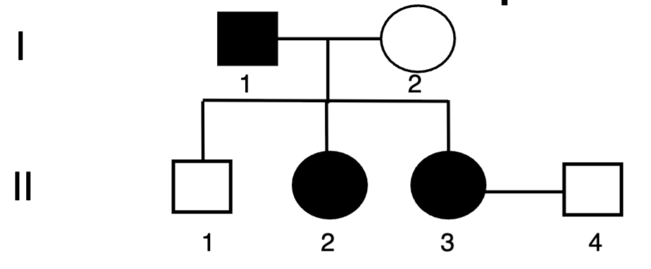<p><span style="color: blue">In the pedigree below, individual 1 in the</span><span style="color: blue"><br></span><span style="color: blue">top row is an</span><span style="color: blue"><br></span><span style="color: blue">A. Affected male</span><span style="color: blue"><br></span><span style="color: blue">B. Unaffected male</span><span style="color: blue"><br></span><span style="color: blue">C. Affected female</span><span style="color: blue"><br></span><span style="color: blue">D. Unaffected female</span></p>