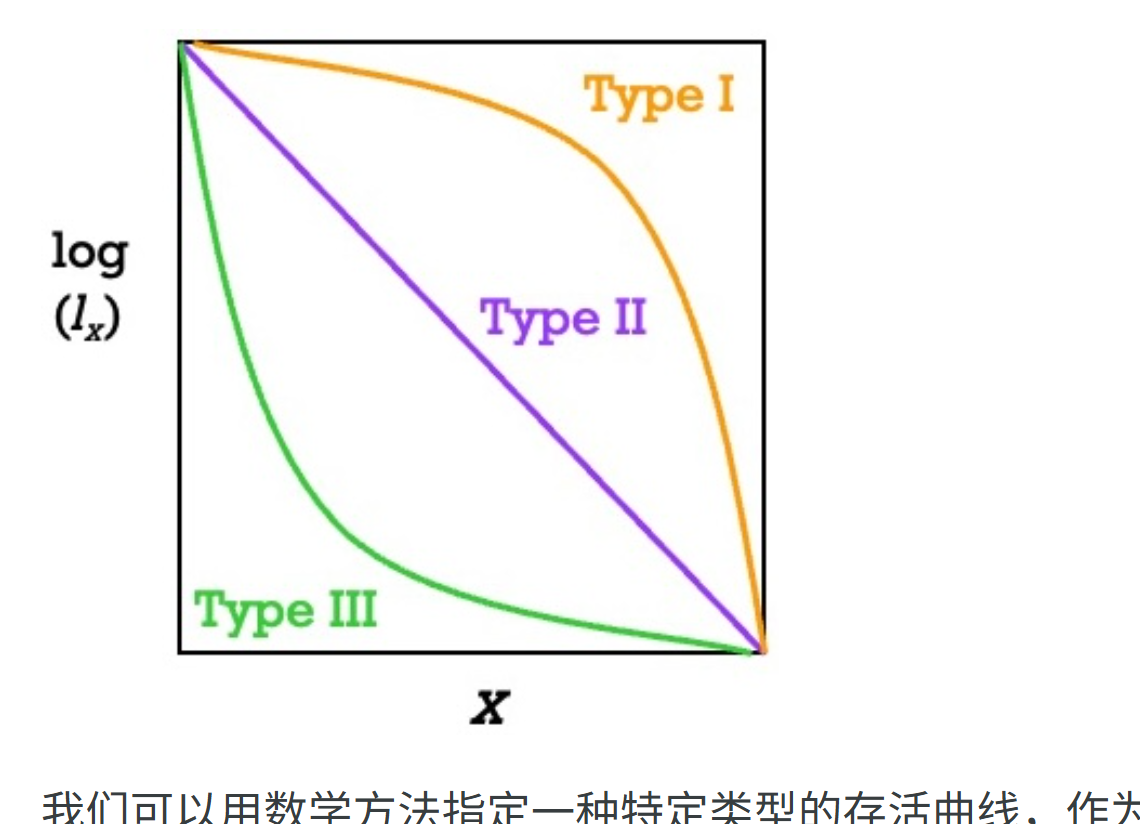 <p>r的特点：幼年死，K：老了才死(K型也有semelparity多年生竹子在最后共同开花，一次繁殖，然后死)</p><p>生长快速，世代短，体型小，资源投入gonad生殖器官，高繁殖率，生存竞争弱，扩散强，semelparity梭哈，不耐阴shade intolerant，种子休眠dormancy， born to run。</p><p>CSR，c是竞争=K，S是耐受=环境恶劣依旧缓慢生长，R是ruderal=r</p>
