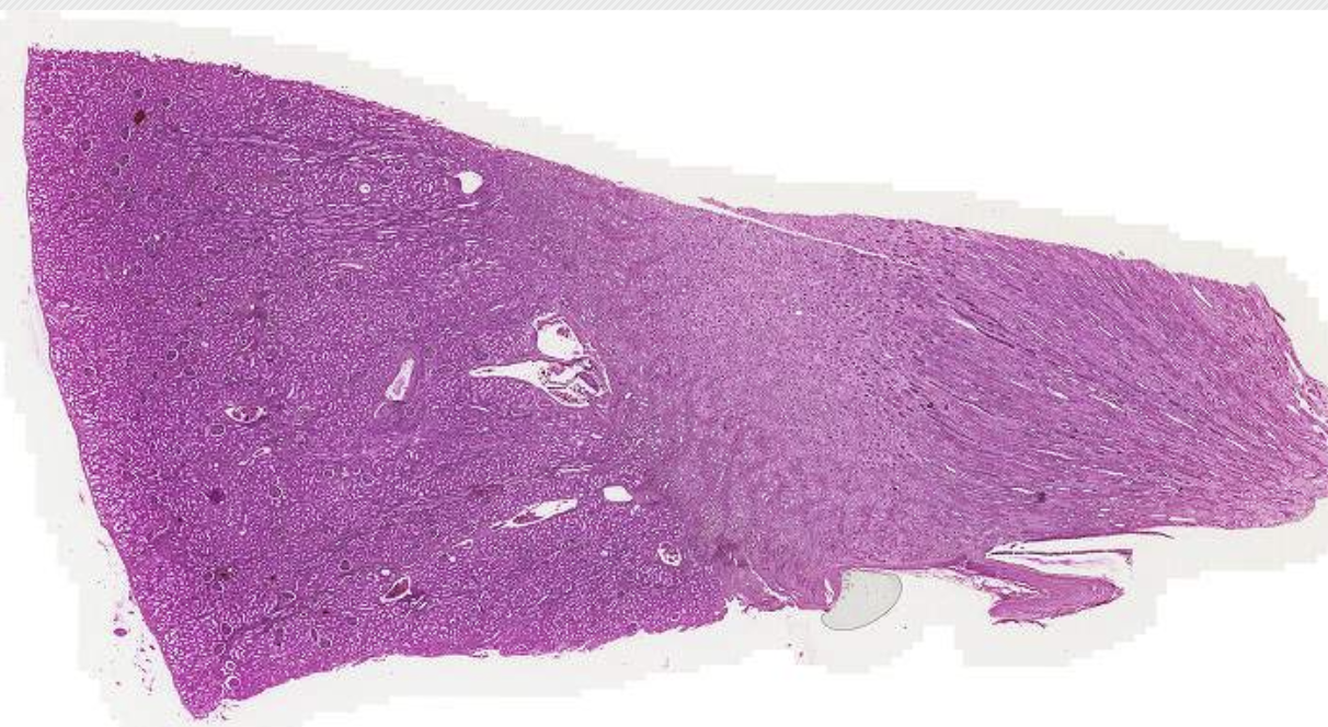 <p>What is this?</p>