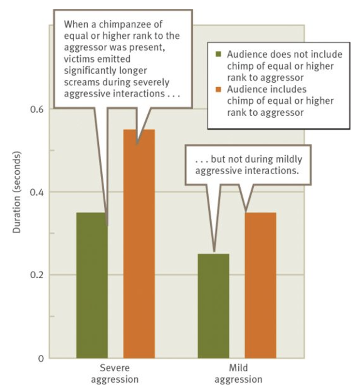 <p>-Wild chimps emit screams while fighting & victim screams may function to get observers to break up fight</p><p>-When interactions involved severe aggression, victim screams were sometimes much longer and more intense when there was an audience</p><p>-Audience effect was only seen when at least one of the audience members held a rank in the hierarchy that was equal to or above the rank of the aggressor </p>