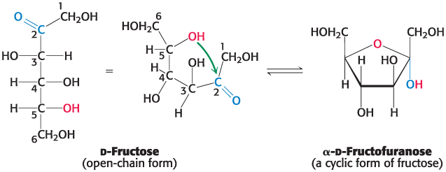 <p>Called furanose because of similarity to furan</p>