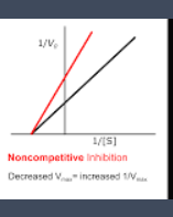 <ul><li><p>vmax is decreased</p></li><li><p>more s does not restore the rate</p></li></ul><p></p>