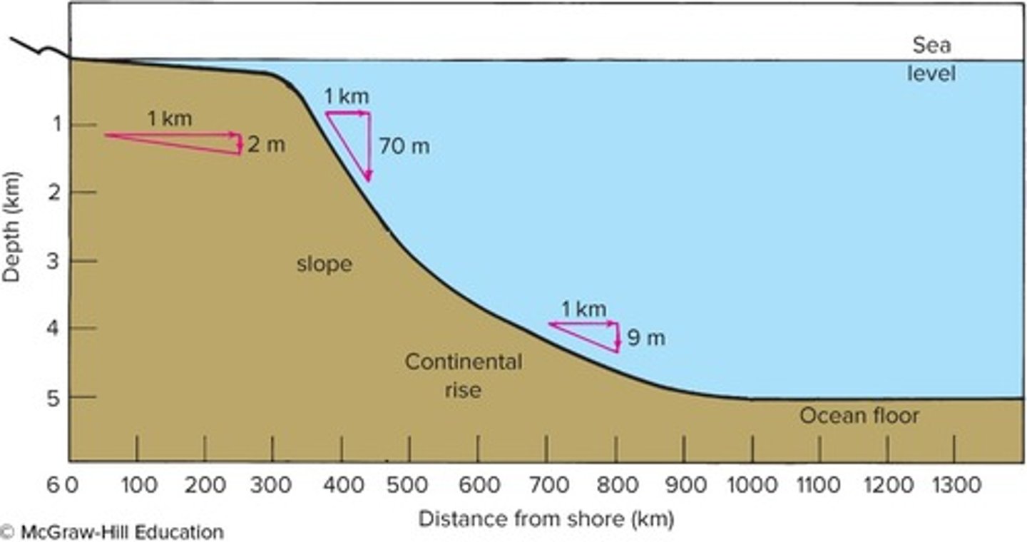 <p>left to right: continental shelf, shelf break, continental slope, continental rise</p>