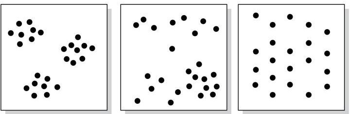 3: