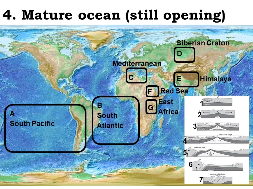 <p>mature ocean (still opening)</p>