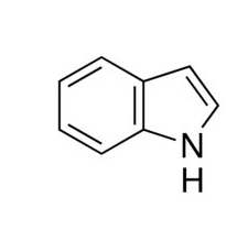<p>-subclass of biogenic amine</p><p>-has double ring indole + R group</p><p><u>histamine</u></p><p><u>serotonin</u></p>
