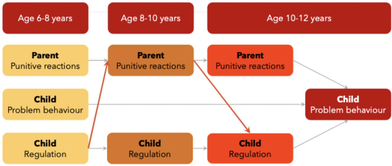 <ul><li><p>bidirectionality of parent-child interactions</p></li></ul><p></p>