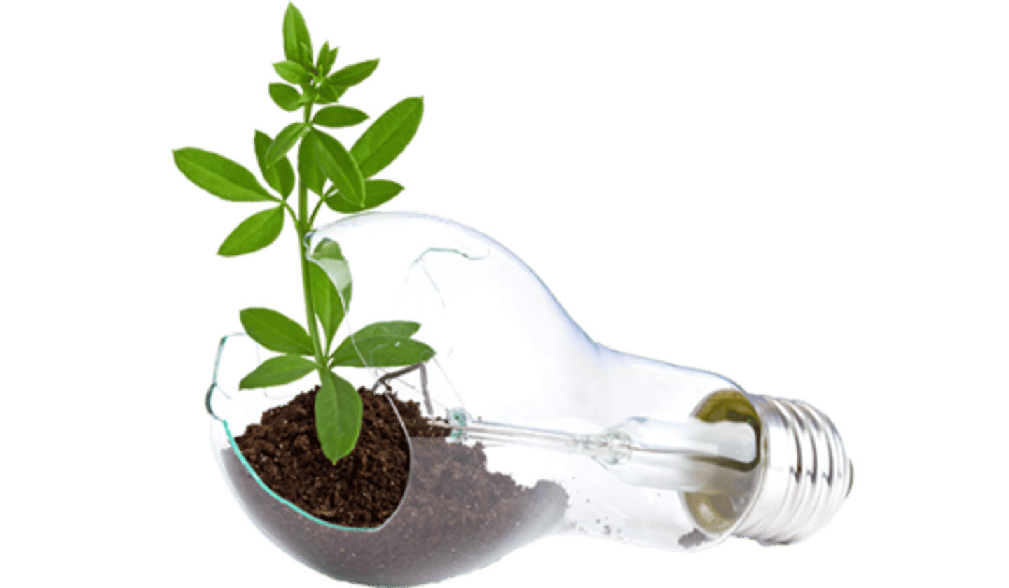 <p>sự đổi mới. Technological _____ drives economic growth.</p>