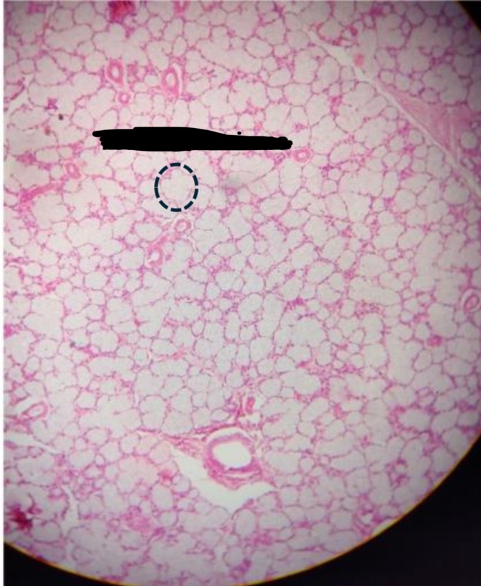 <p><span>Identification</span></p>