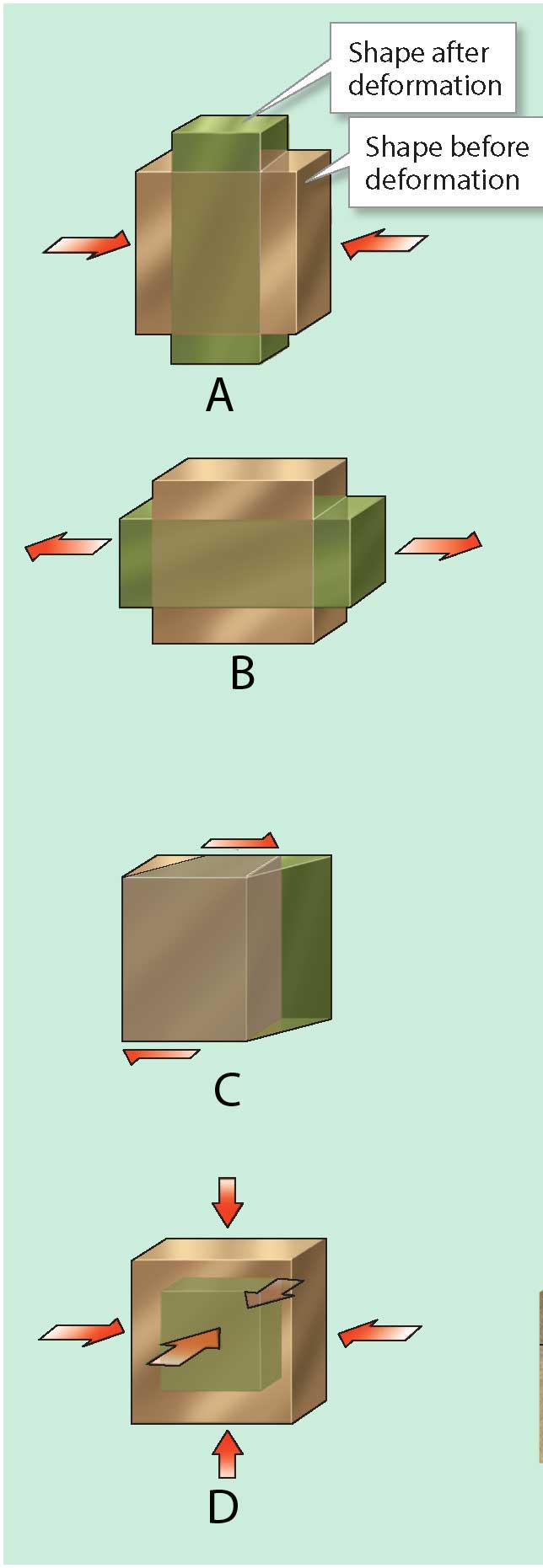 Depending on the direction of force (red arrows in the diagrams), stress is categorized as compression, tension, shear, or pressure. Which of the following diagrams shows tension?