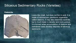 <p>Siliceous (non-detrital) rocks of biological origin: examples + key note</p>
