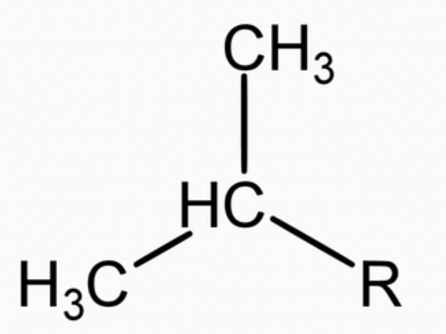 <p>alkyl group</p>