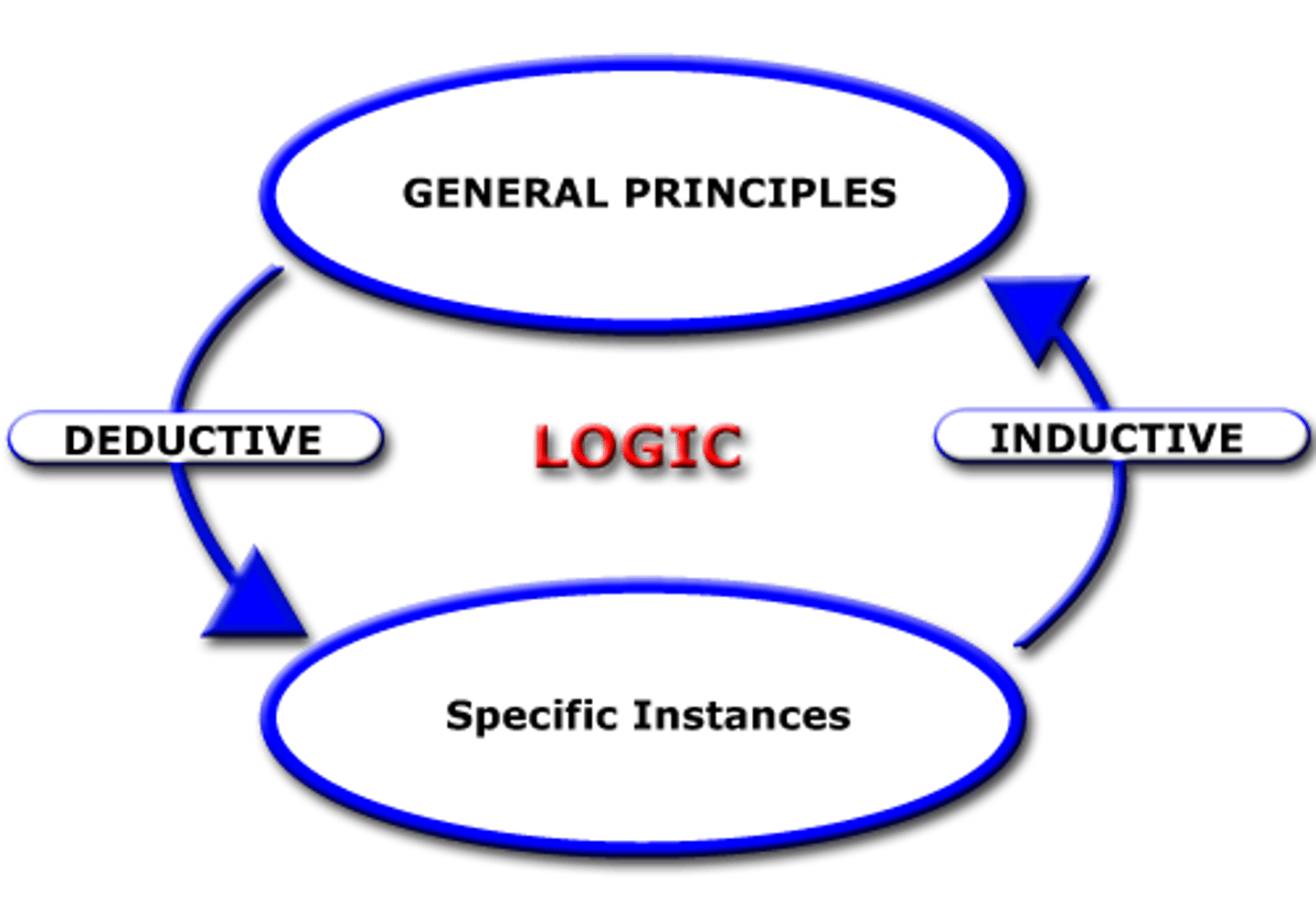 <p>conclusions are drawn from observations</p>